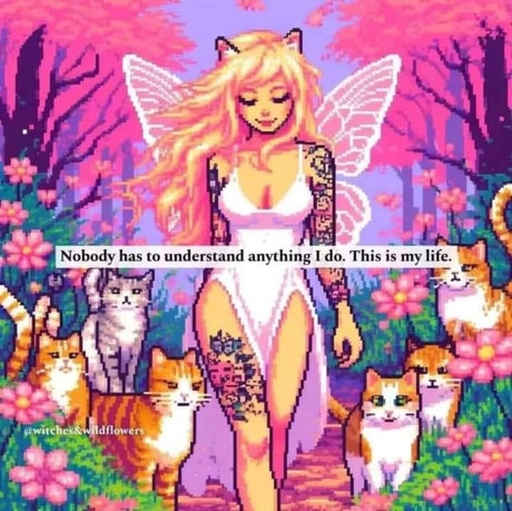 TravelKait ポルノスター 高品質 ギャラリー