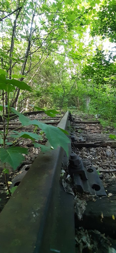 FloriS ポルノスター 美しい ギャラリー