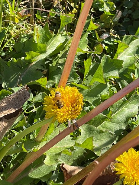 N4X スター 裸 ギャラリー