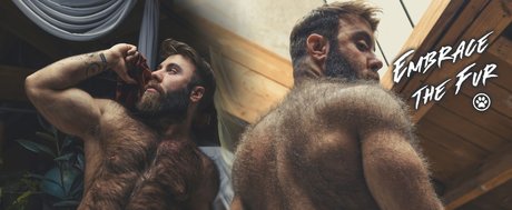 Teddy Bear トップポルノスター 写真