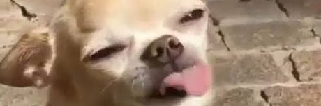 your bibi 高品質モデル 写真