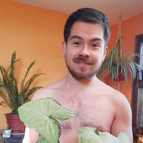 NachoPlantitas ポルノスター 美しい 画像