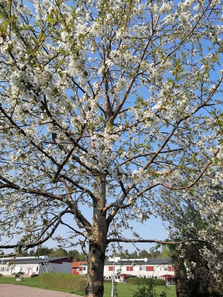 Curvy Libby セクシー女優 写真