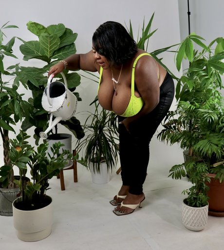 Da Plump ポルノスター ベスト 画像