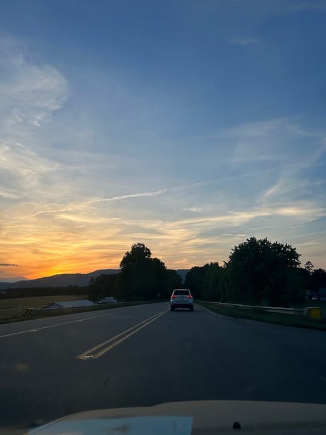 nay アートスター 画像