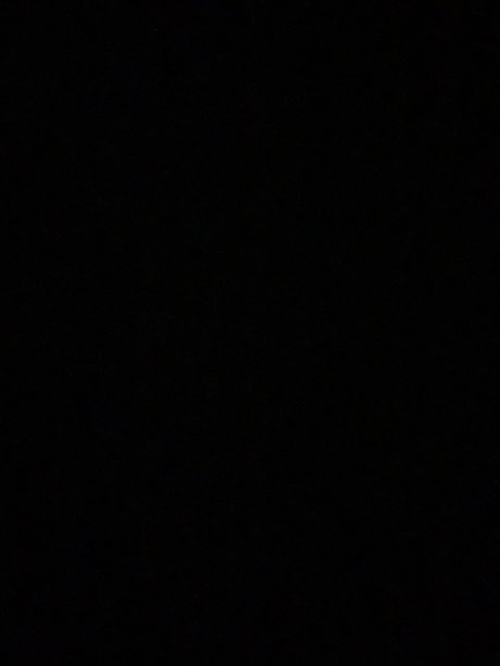 Celeb d ヌードのポルノスター 画像