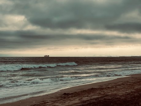 DixonRiley エロティックなポルノスター アーカイブ