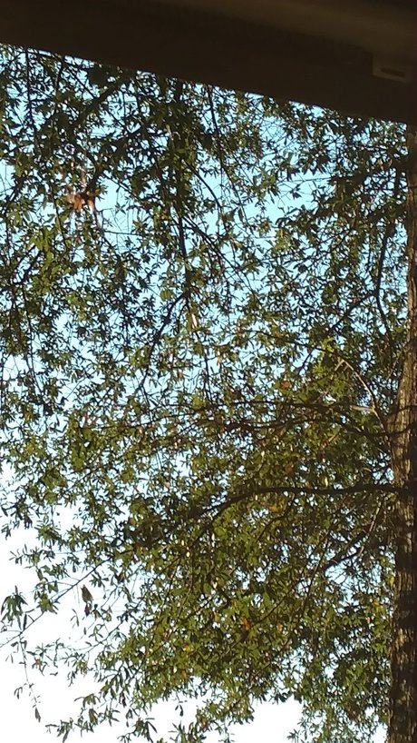 巨大ディルドオンリーファンズ ヌード 画像