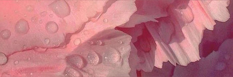 natalie FREE トップモデル 写真