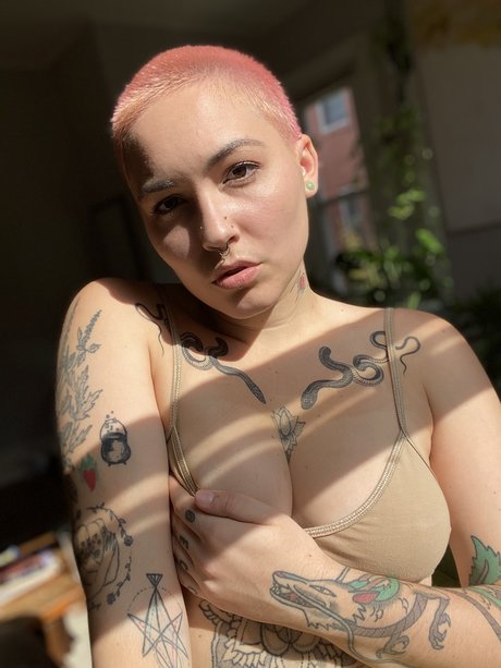 Veronica Vale 完璧な女優 画像