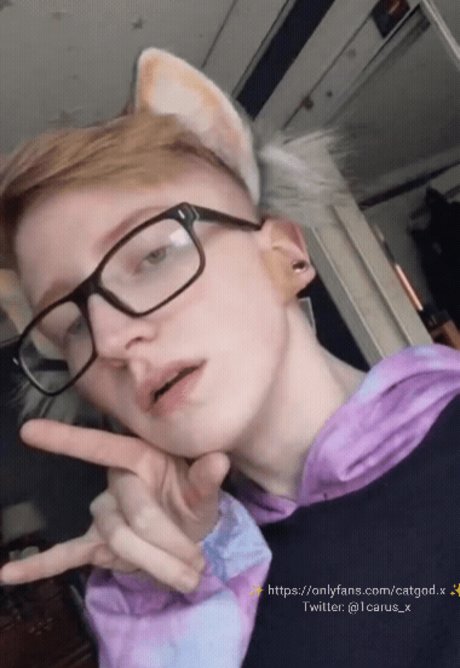 Icarus the Cat God 高品質モデル 写真