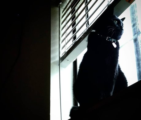 NekOwO ポルノスター 素敵 写真