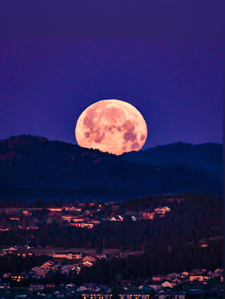 Cara Lynn_ ポルノ女優 写真