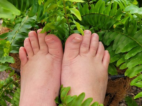 Mochi chan 素敵なスター 写真