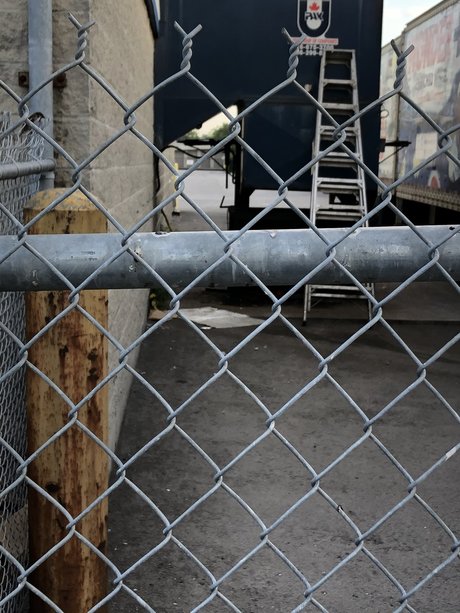 Canada Post ポルノスター ホット 写真