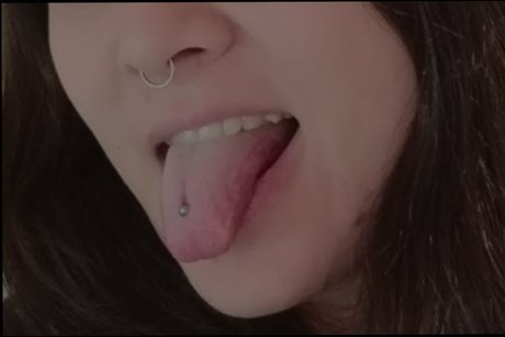 Maxi King ポルノスター HD 画像