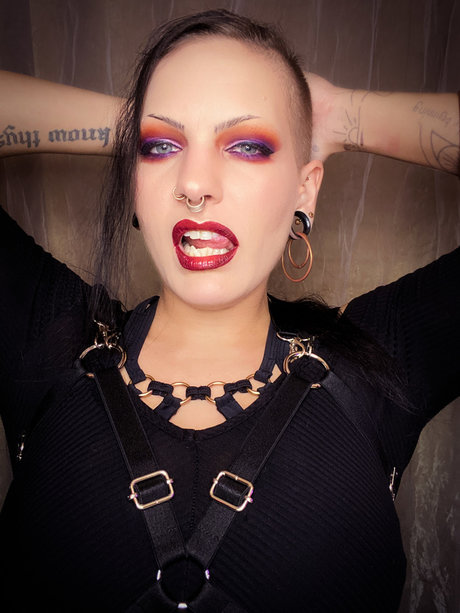 Night Satellite HDスター 写真