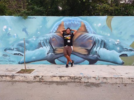 Gerson 独占スター 画像