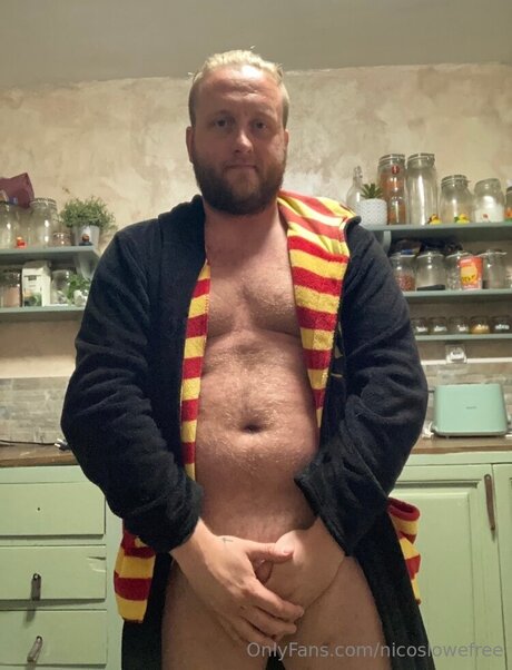 Nicos lowe HDモデル アーカイブ