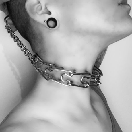 BLACK TULIP 最高のモデル 画像