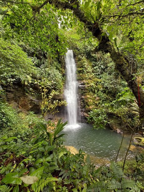 Darkcary セックスポルノスター ギャラリー
