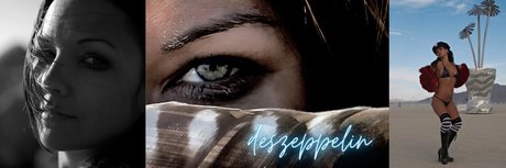 Des Zeppelin 高品質モデル 写真