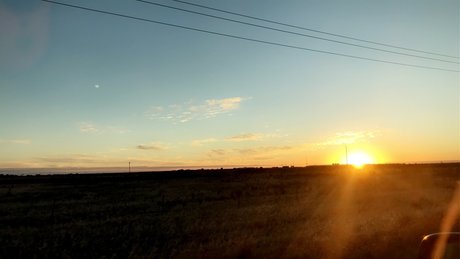 Birch babe 高品質のスター 写真