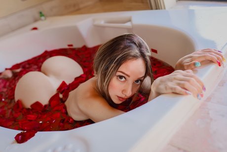 Nina Parodi ポルノスター ホット 画像