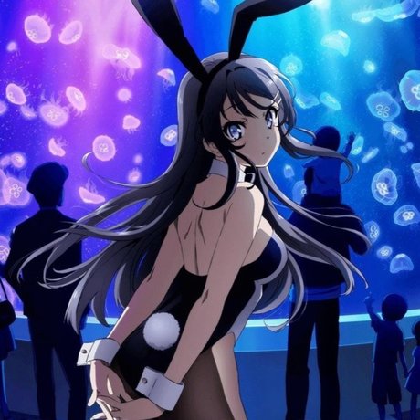 Nina Li Song トップモデル 画像