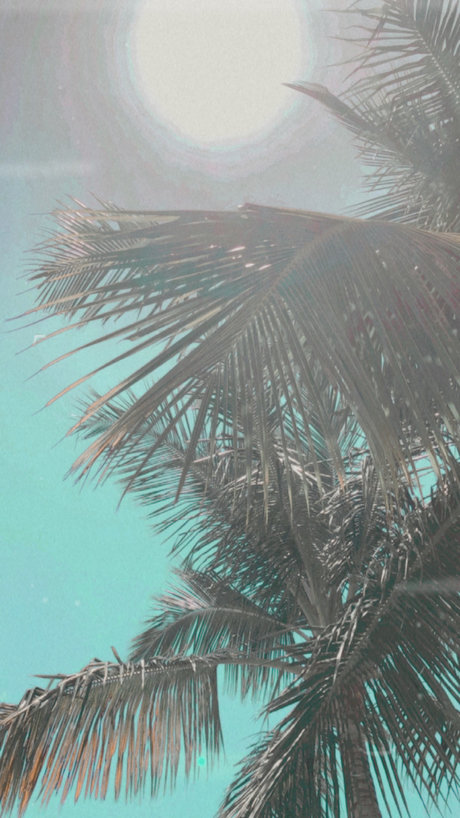 ninaalexander17 エロティック女優 写真