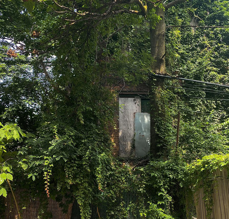 _nikki yarrow s 3 VIDEOS_ ヌードのポルノスター 写真