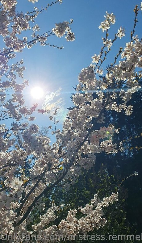 mistress remmel xxxスター アーカイブ