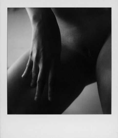 sisuuz ホットスター 写真