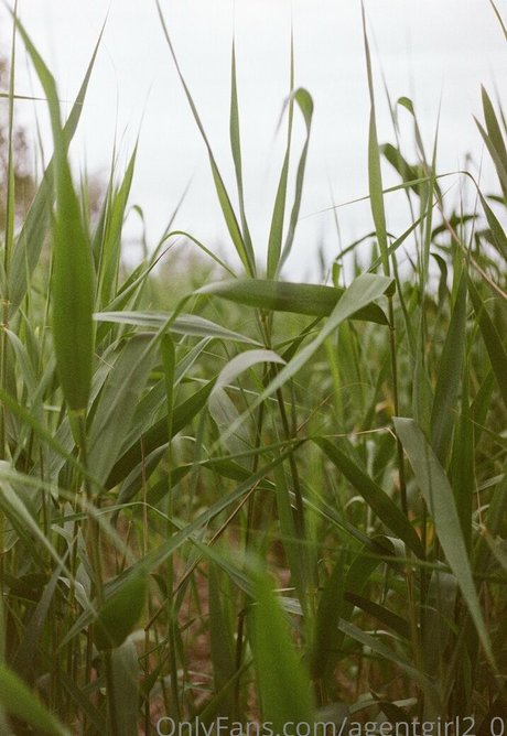 黒人女性のオンリーファンズ ホット 画像
