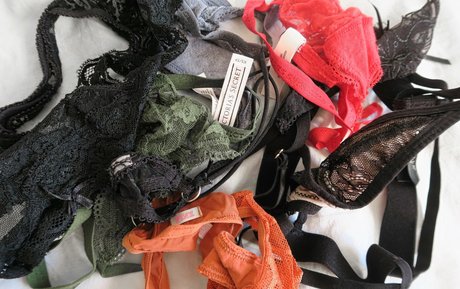 charliejoyjoe 美しいスター 写真