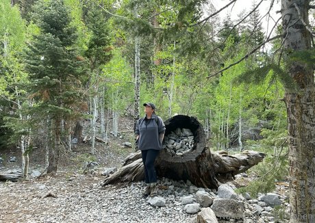 ぽっちゃりラテン系オンリーファンズ アートヌード 写真