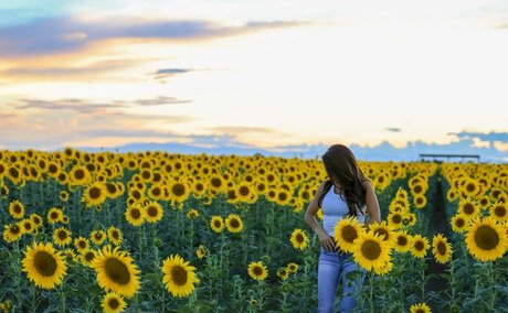 Lauren Boebert 裸のモデル 写真