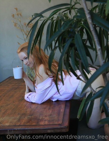 innocentdreamsxo free ポルノスター トップ ギャラリー