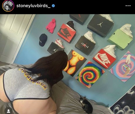 曲線美のランジェリーオンリーファンズ 美しい ギャラリー