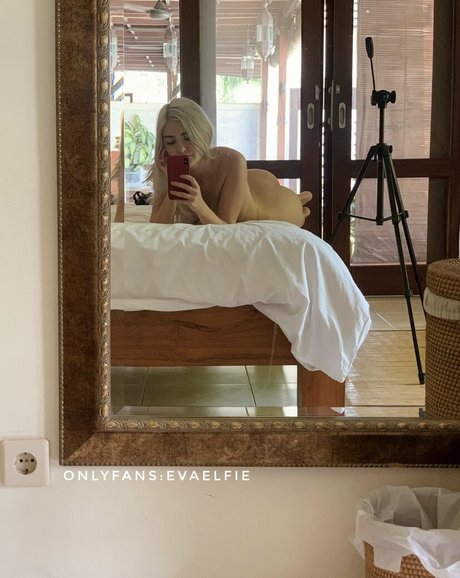 EvaElfie 高品質女優 アーカイブ