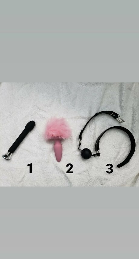 naughty salamander プロフィール写真