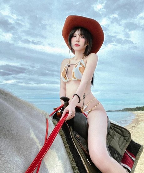 nchr x トップモデル 画像