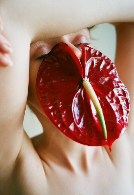 陸軍の熟女オンリーファンズ 美しいポルノ アーカイブ