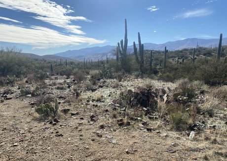 ジムのインフルエンサーオンリーファンズ ベスト 写真