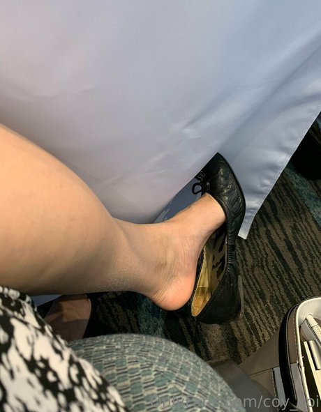 coy koi トップポルノスター 画像