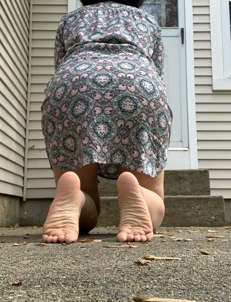 coy koi アートポルノスター アーカイブ