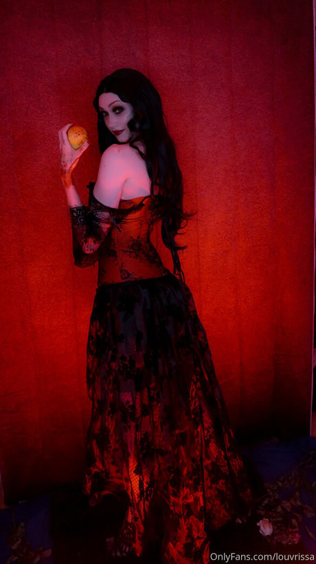 louvrissa 素敵なスター ギャラリー