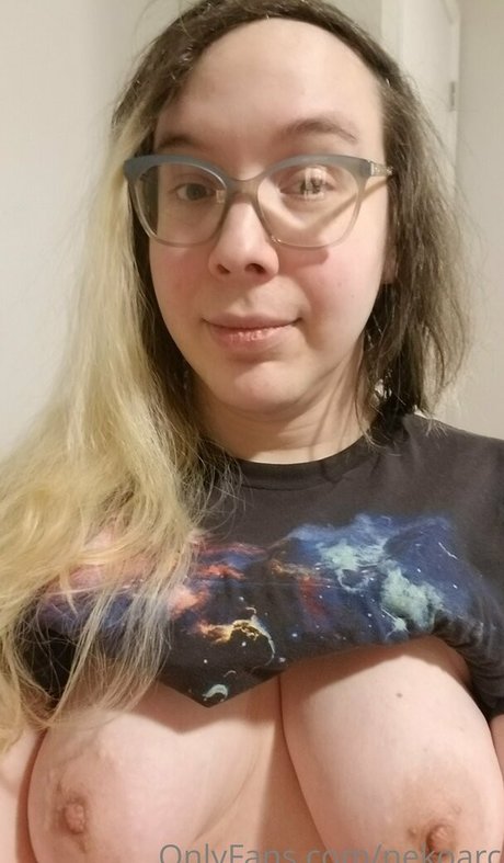 nekoarc ポルノスター アート ギャラリー