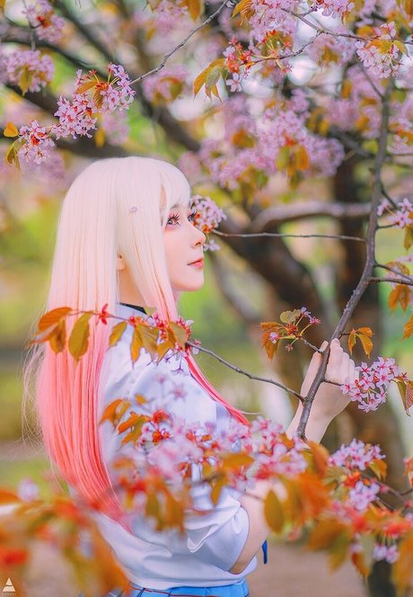 アジア人ニューハーフオンリーファンズ ホット 画像