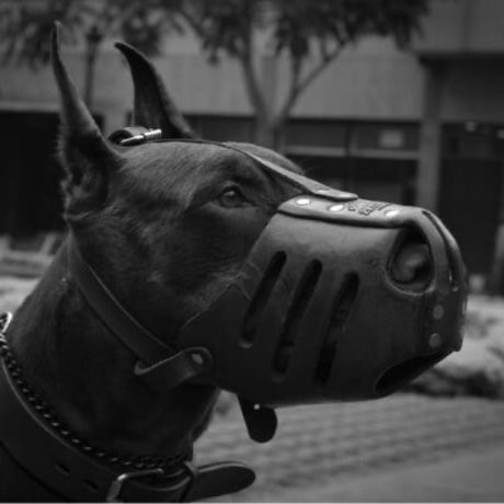 Rari_ かわいいモデル ギャラリー